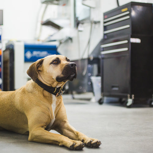 Building a Watch Company: The Man in the Ceiling and Deals on DMG Machines