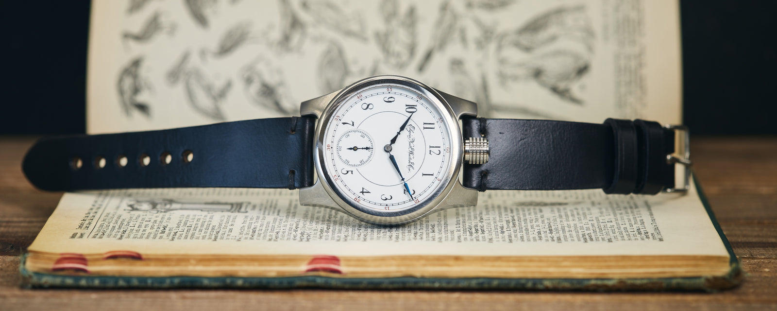 The Chicago 012 (49mm)